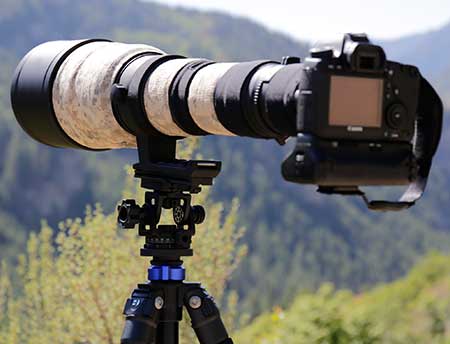Acratech Long Lens Head with a 12.9 pound Sigma 300-800 f/5.6 lens and Canon EOS 6D. Solid support for 15+ pounds. 