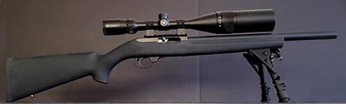 Ruger 10/22 project rifle