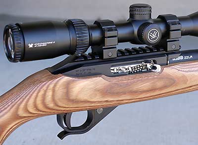 CST Centrix-22 receiver with my Vortex scope mounted on integrated rail