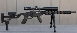 Ruger Precision Rimfire
