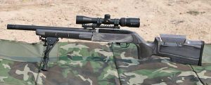 Boyds Pro Varmint Stock for the Ruger 10/22 Takedown