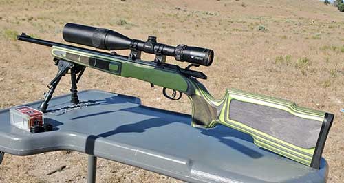 Ruger American Rimfire in .17 HMR, wearing the Boyds stock and a Vortex scope