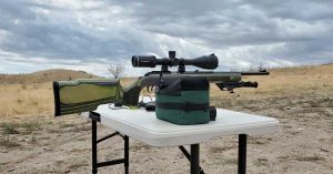 Ruger American Rimfire in .17 HMR with a Boyds stock, and Riton scope
