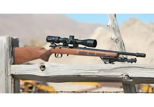 Ruger American Rimfire .22 LR Heirloom Project
