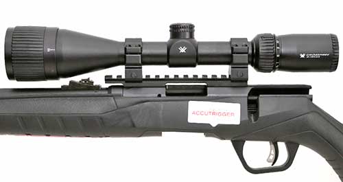Vortex scope installed on the Savage B22 with the EGW Picatinny Rail.
