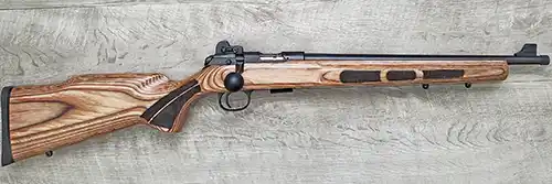 CZ 457 Scout with aftermarket sights in the Boyds Rimfire Hunter stock. 