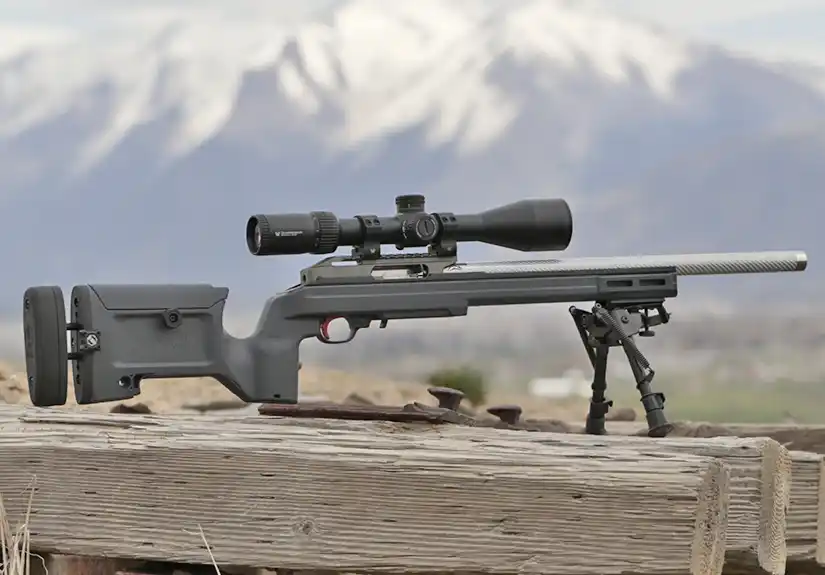 Custom built Ruger 10/22