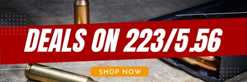 BulkMunitions Review: Is Buying Ammo Online Worth It?